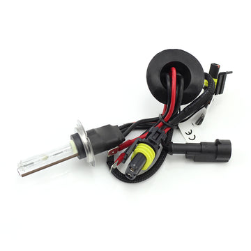 Bec Xenon H7-4,3K - CARGUARD